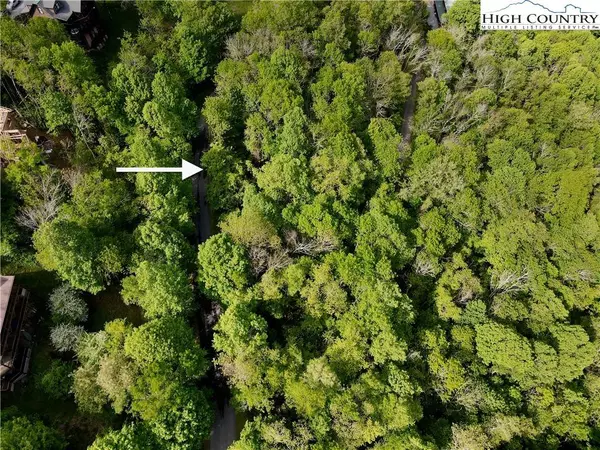 TBD Alpine, Seven Devils, NC 28604