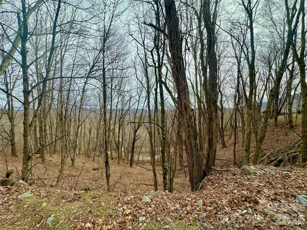 TBD Alpine DR #21-22, Seven Devils, NC 28604