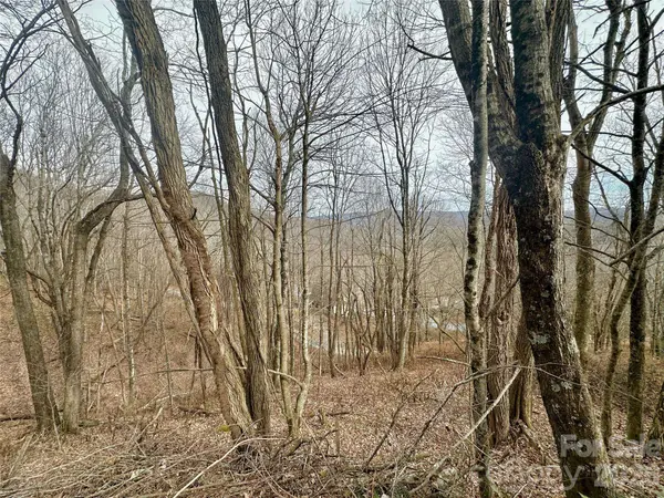 TBD Alpine DR #21-22, Seven Devils, NC 28604