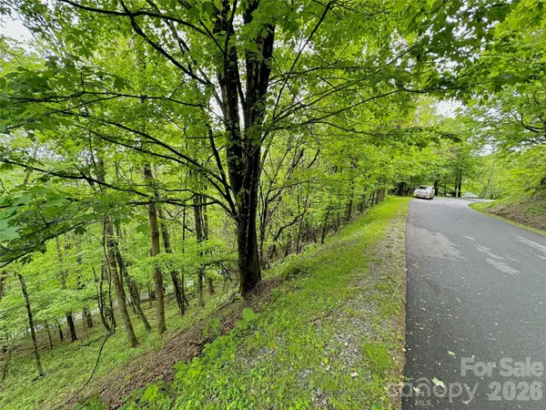 TBD Alpine DR #33, Seven Devils, NC 28604