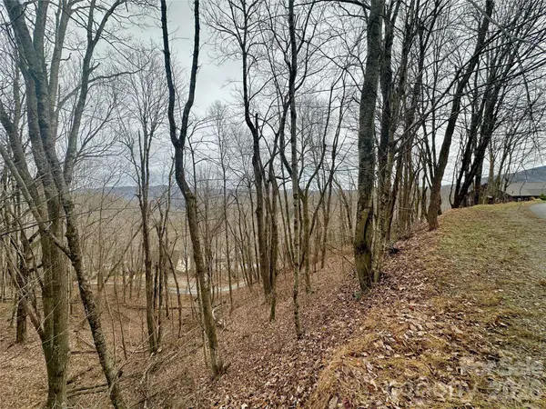 TBD Alpine DR #21-22, Seven Devils, NC 28604
