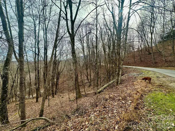 TBD Alpine DR #21-22, Seven Devils, NC 28604
