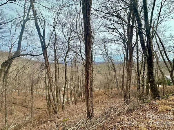 TBD Alpine DR #21-22, Seven Devils, NC 28604
