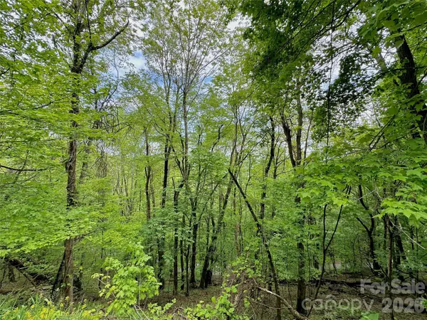 TBD Alpine DR #33, Seven Devils, NC 28604