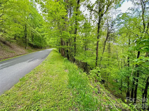 TBD Alpine DR #33, Seven Devils, NC 28604