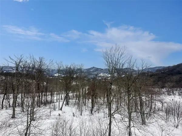 102 Sugar Ski DR #232, Sugar Mountain, NC 28604