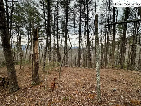 TBD Mantera RDG, Sugar Grove, NC 28679