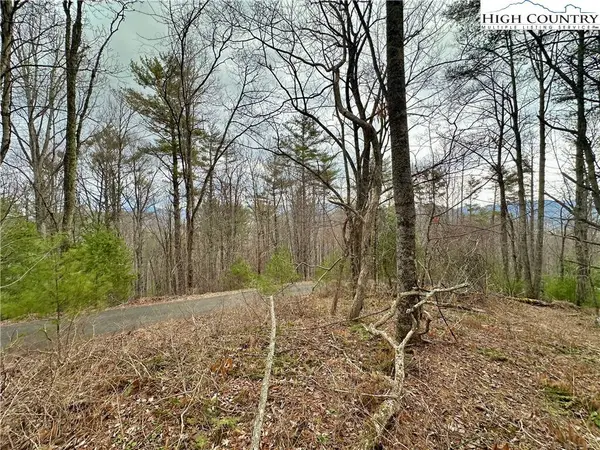 TBD Mantera RDG, Sugar Grove, NC 28679