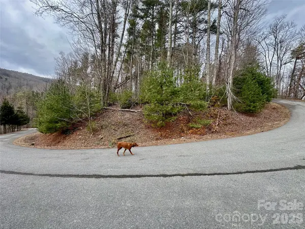 TBD mantera RDG, Sugar Grove, NC 28679