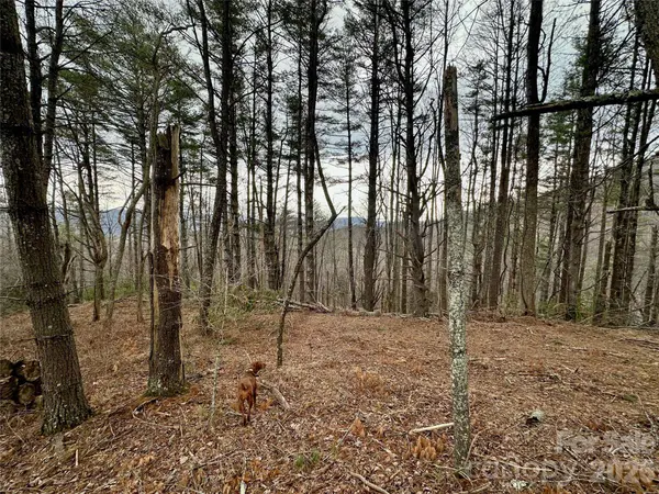 TBD mantera RDG, Sugar Grove, NC 28679
