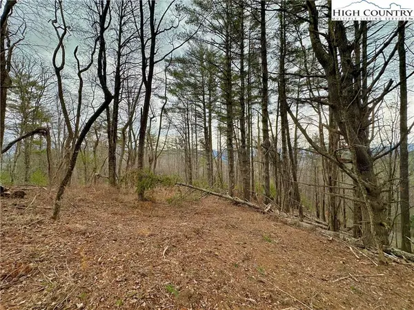 TBD Mantera RDG, Sugar Grove, NC 28679