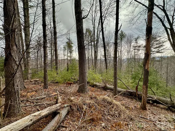 TBD mantera RDG, Sugar Grove, NC 28679