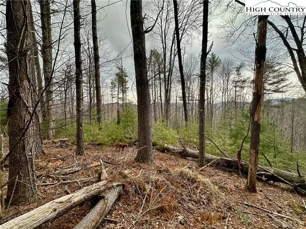 TBD Mantera RDG, Sugar Grove, NC 28679