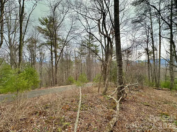 TBD mantera RDG, Sugar Grove, NC 28679