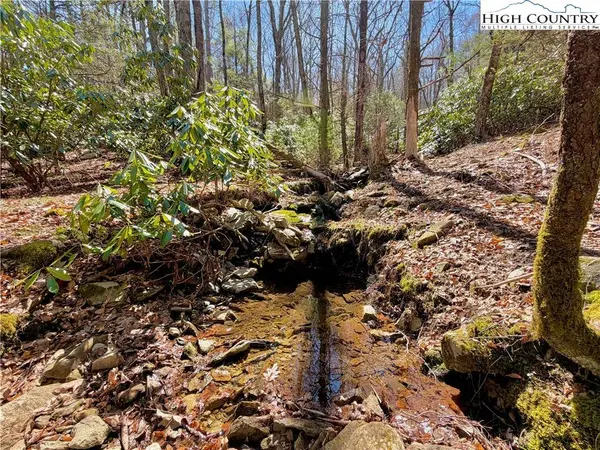 TBD George Hayes RD, Boone, NC 28607