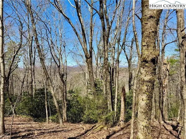 TBD Grandview DR, Boone, NC 28607