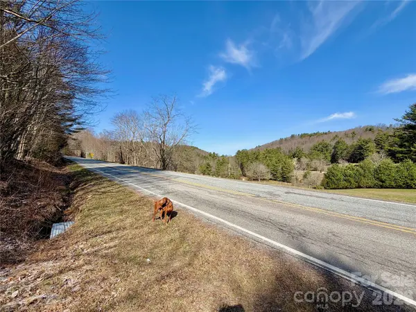 TBD George Hayes RD #Tract C, Boone, NC 28607