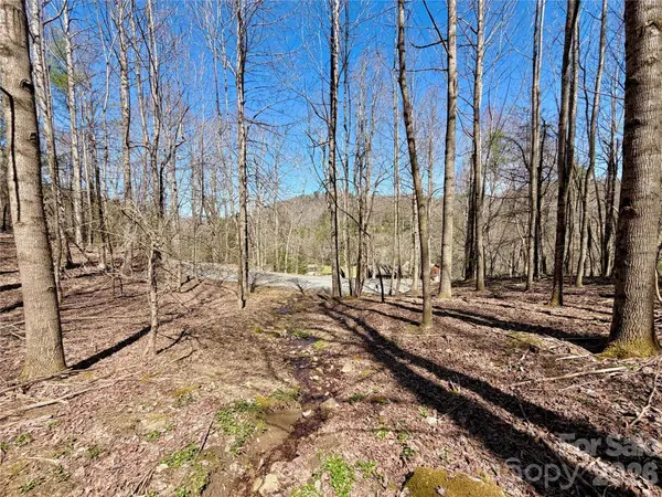 TBD George Hayes RD #Tract B, Boone, NC 28607