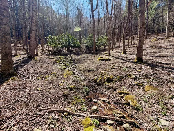 TBD George Hayes RD #Tract B, Boone, NC 28607