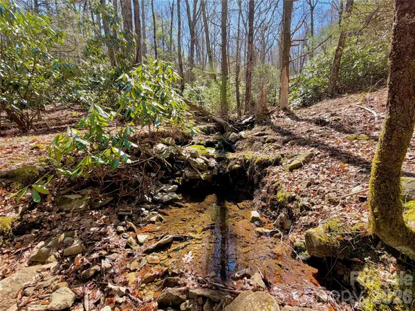 TBD George Hayes RD #Tract C, Boone, NC 28607