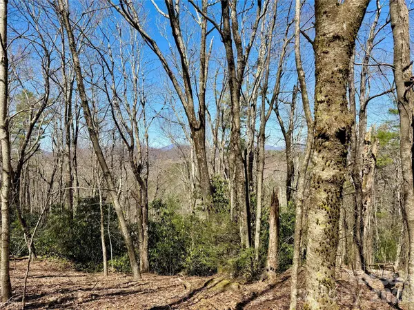 TBD Grandview DR, Boone, NC 28607