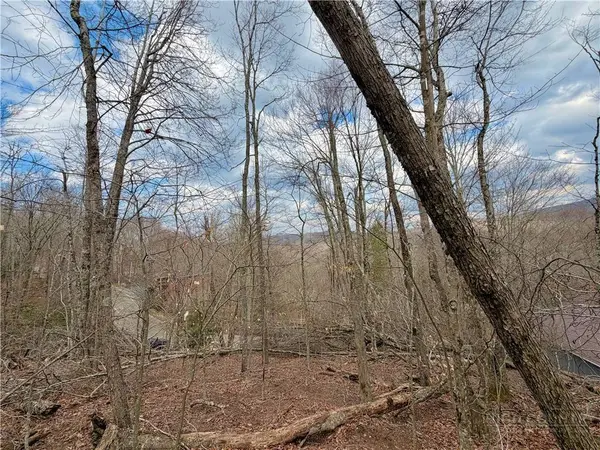 218 Lake RD, Beech Mountain, NC 28604