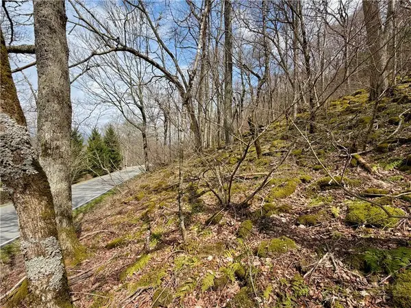 TBD Grouse Moor DR, Sugar Mountain, NC 28604