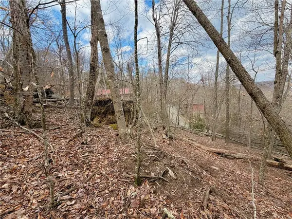 218 Lake RD, Beech Mountain, NC 28604