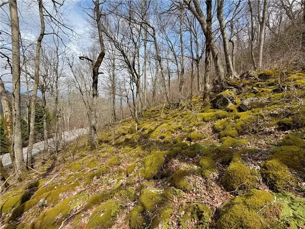 TBD Grouse Moor DR, Sugar Mountain, NC 28604