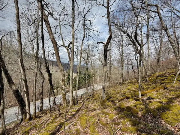 TBD Grouse Moor DR, Sugar Mountain, NC 28604