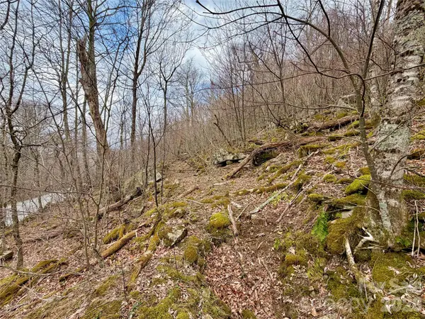 TBD Grouse Moor DR, Sugar Mountain, NC 28604