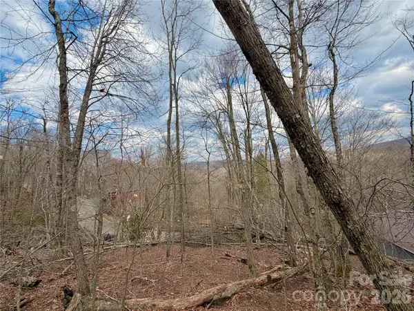 218 lake RD, Beech Mountain, NC 28604