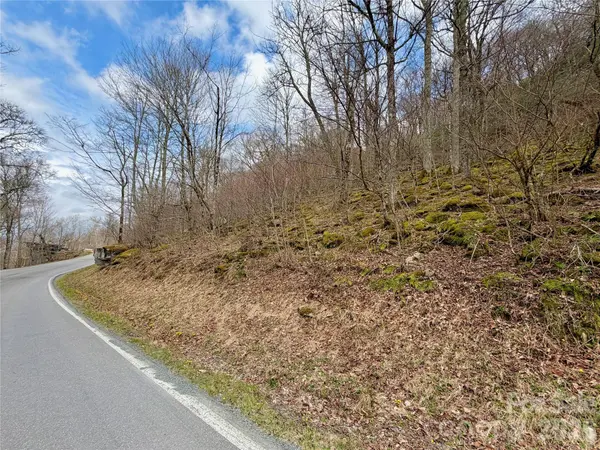 TBD Grouse Moor DR, Sugar Mountain, NC 28604