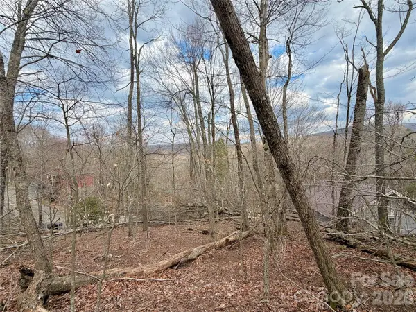 218 lake RD, Beech Mountain, NC 28604