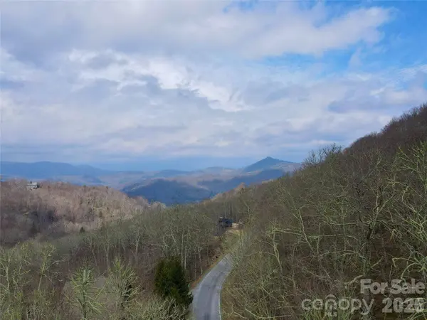TBD Grouse Moor DR, Sugar Mountain, NC 28604