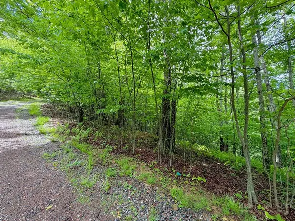 TBD Grandfather Watch LN, Banner Elk, NC 28604