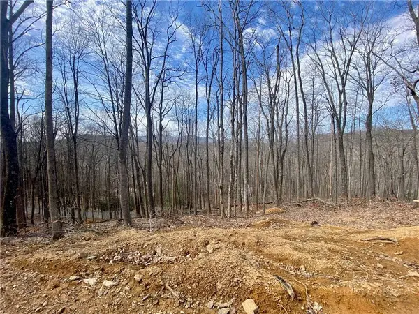 TBD Old Chestnut Mountain RD, Newland, NC 28657