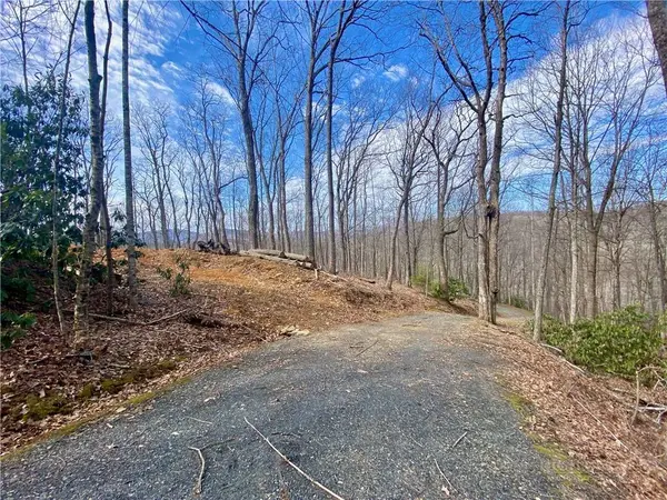 TBD Old Chestnut Mountain RD, Newland, NC 28657