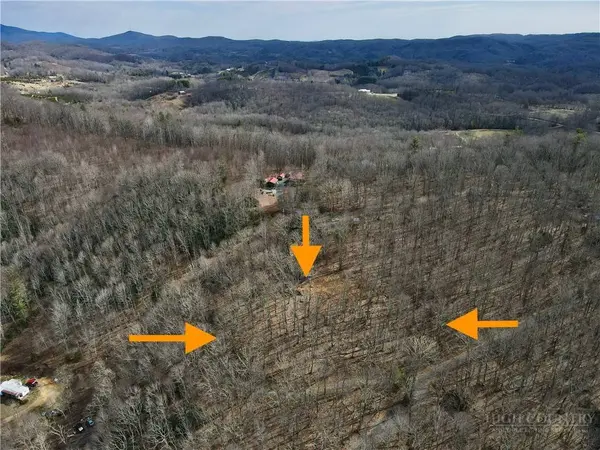 TBD Old Chestnut Mountain RD, Newland, NC 28657