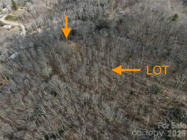 TBD Old Chestnut Mountain RD, Newland, NC 28657