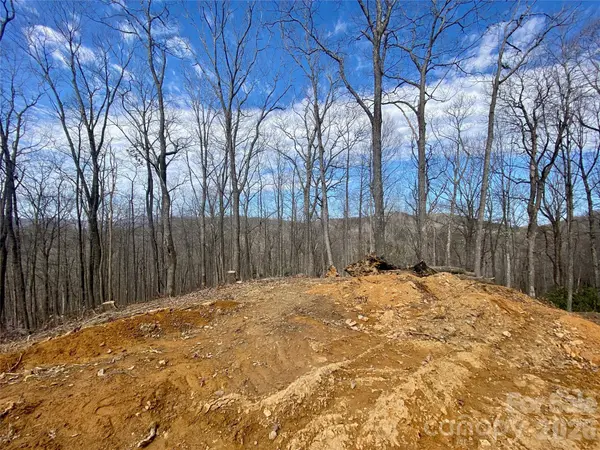TBD Old Chestnut Mountain RD, Newland, NC 28657