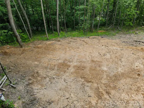 TBD Old Chestnut Mountain RD, Newland, NC 28657
