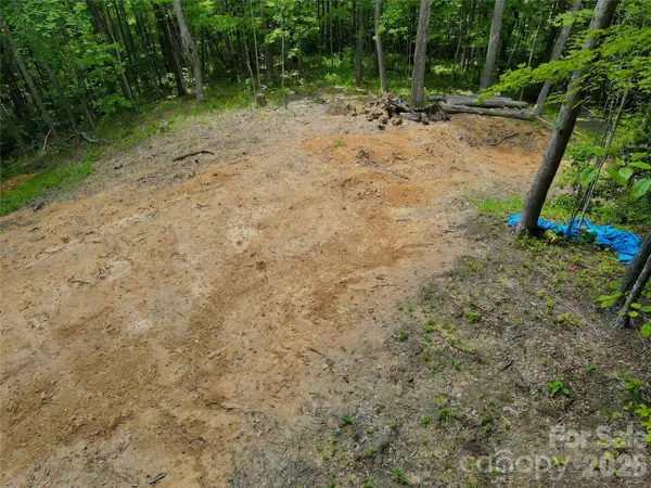 TBD Old Chestnut Mountain RD, Newland, NC 28657