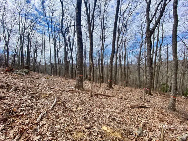 TBD Old Chestnut Mountain RD, Newland, NC 28657