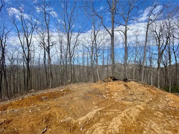 TBD Old Chestnut Mountain RD, Newland, NC 28657