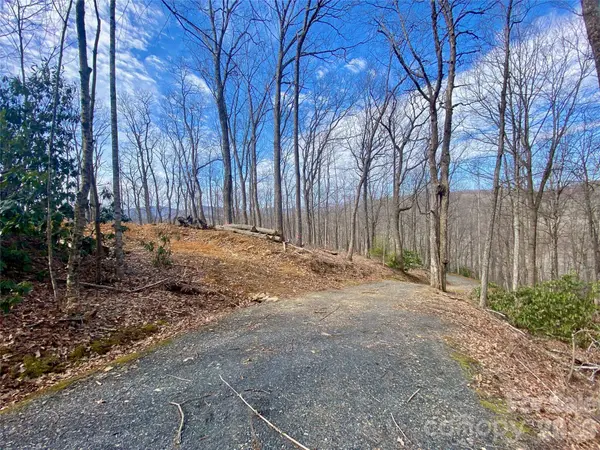 TBD Old Chestnut Mountain RD, Newland, NC 28657