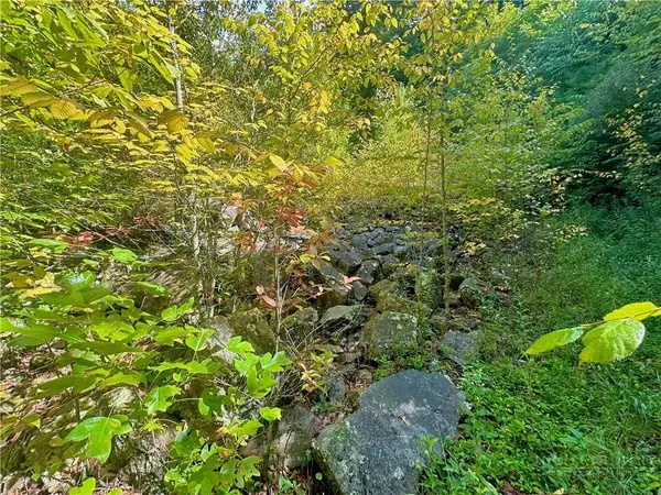 TBD Old Anderson Quarry RD, Vilas, NC 28692