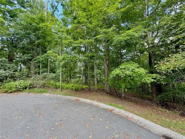 TBD Galax LN, Banner Elk, NC 28604