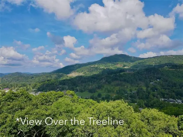 TBD Galax LN, Banner Elk, NC 28604