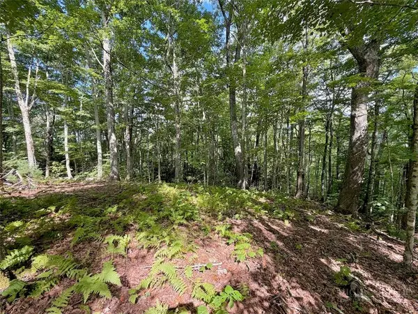 TBD Galax LN, Banner Elk, NC 28604